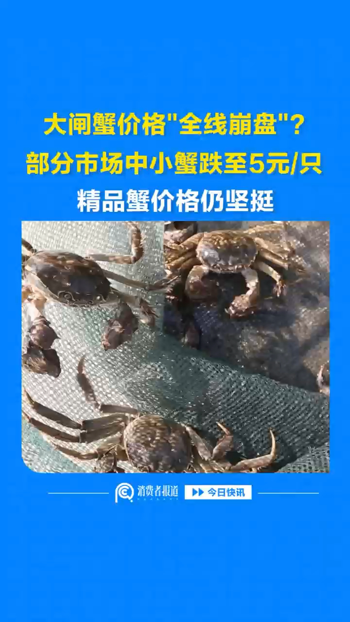 大闸蟹价格"全线崩盘"？部分市场中小蟹跌至5元/只，精品蟹价格仍坚挺