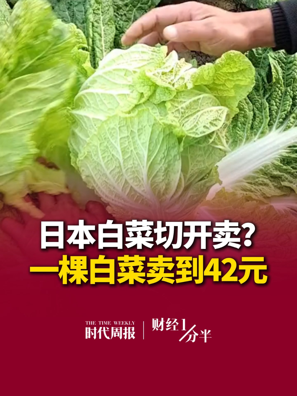 10月15日#财经一分半 ，日本近期叶类蔬菜价格持续走高，白菜、生菜、圆白菜等价格较往年大幅上涨，一棵白菜零售价普遍超过1000日元（约合42.3元人民币），不少消费者直呼“太贵”。再来看看其他新闻，长实集团：李嘉诚暂不打算公开露面回应；懂车帝回应“黑尊界”传言；A股超5100只个股飘绿