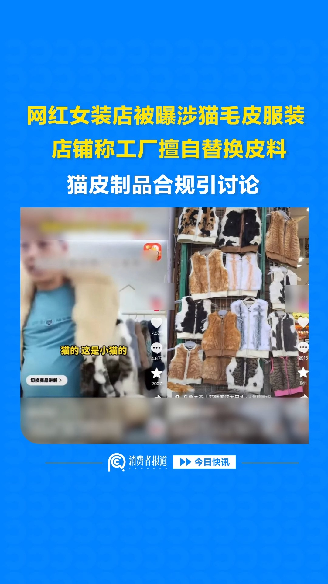 网红女装店被曝涉猫毛皮服装，店铺称工厂擅自替换皮料，猫皮制品合规引讨论