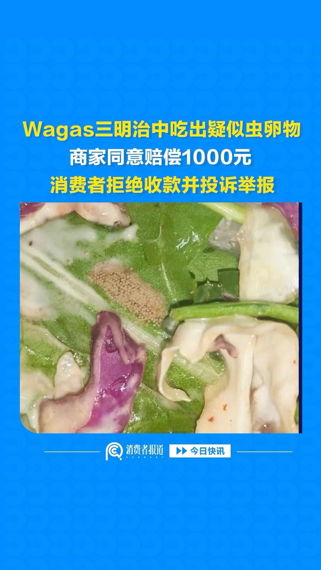 Wagas三明治中吃出疑似虫卵物，商家同意赔偿1000元，消费者拒绝收款并投诉举报