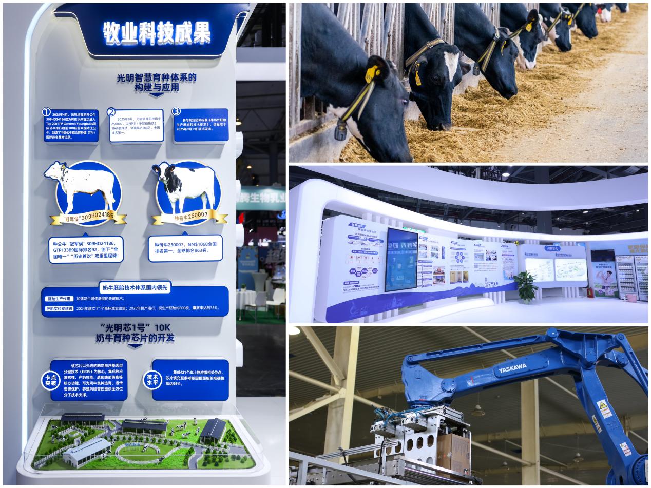 https://marmot-obs.timesmedia.com.cn/swift-article-resource/doc_to_html/2026/08/30/4aef23c2d63440d38cf1aa9c762e6f2e.jpeg